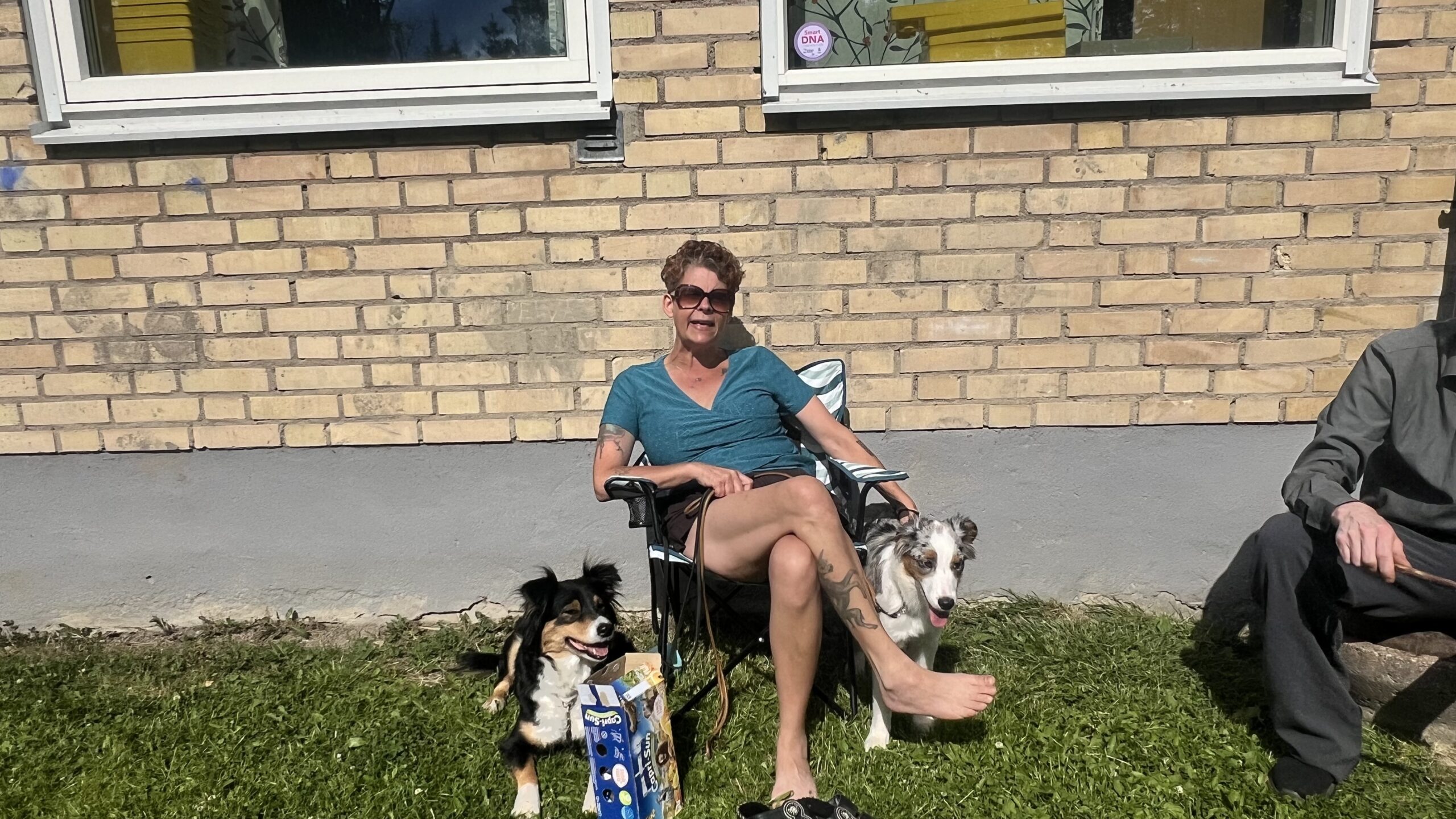 Vardag med hundar utanför huset hos Wie Humelies